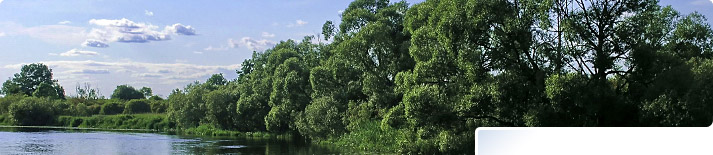 Udostępnianie danych - Fundacja ARMAG